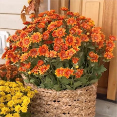 🔥HOT SALE 49% OFF🍁Fall Artificial Flowers for Outdoors